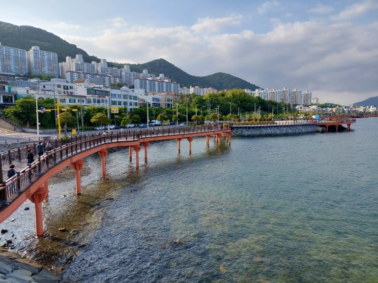 여수 소호동동다리 : 바다위 산책로 (야경명소)