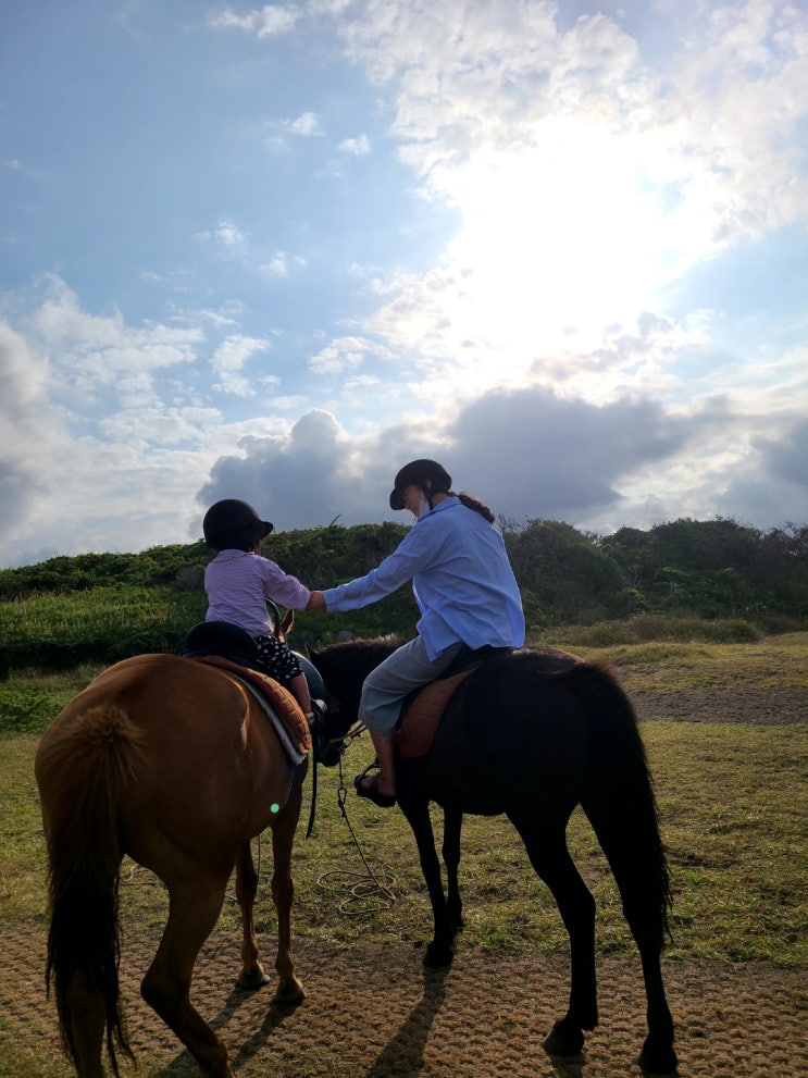 곳, 제주 광치기해변 승마는 졸띠승마에서 해보세요^^(내돈내산)