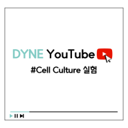 [DYNE LAB Vlog] Cell Culture 실험
