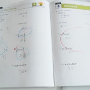 기적의 계산법 12. 118단계 중학교 방정식 2