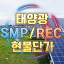 2022년 6월 15일 수요일 REC SMP 태양광 현물단가