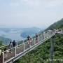 춘천 삼악산 호수케이블카 네이버 예약 10%, 경로 20%할인 스카이워크 산책길 전망대 다녀오다