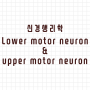 [신경생리학] lower/upper motor neuron