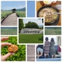순천여행- 푸르른 순천만국가정원 찍고 맛있는 건봉국밥 먹기 (월요일만 비추)