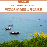 6월 21일은 해양조사의 날입니다. 태안군의회가 해양조사의 날을 소개합니다!