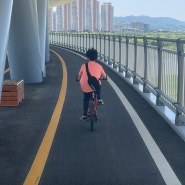 자전거라이딩 하기좋은 세종 금강보행교(이응다리)