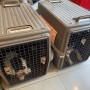 오늘 아시아나 항공 화물로 일본 오사카 공항으로 떠난 보더콜리 강아지 바디 보기 : 반려동물 일본 동물검역 동물운송 절차 비용