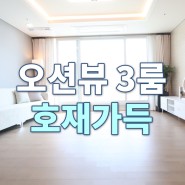 시흥신축빌라 오션뷰 3룸 투자가치 굿