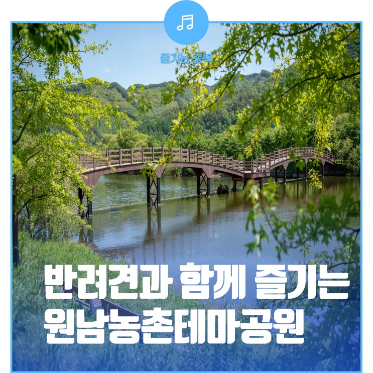 주말 나들이로 딱 좋은 원남농촌테마공원(feat 반려견...