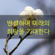 반성과 미래를 연결하는 자는 희망 있다