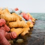 강릉 여행 가볼만한곳 :: 에메랄드빛 바다와 컬러 테트라포드가 이색적인 순긋해변으로 여름 휴가 떠나세요.