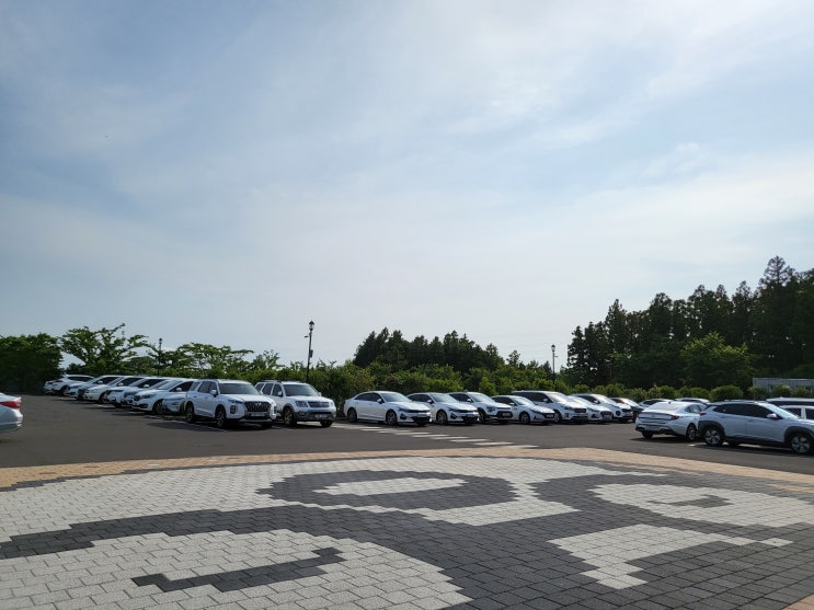 아이와 함께 제주도 여행. 제주도 뽀로로테마파크