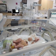 작고 소중한 내 아기 신생아중환자실 면회