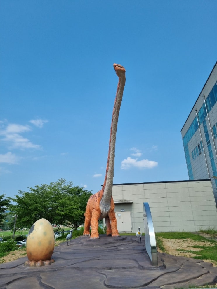 아이와 함께 갈수 있는 실내체험관 진성에 위치한 과학관