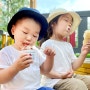 육아사진 꿀팁 | 아이스크림으로 다정한 남매샷 남기기