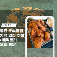 <동탄> 매직트리&오늘통닭 : 동탄호수공원 뷰 치맥 맛집 추천