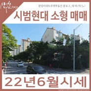 분당초품아 분당 시범현대 71타입(22) 22년06월 3째주 매매 시세