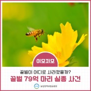 [이슈잇슈] 꿀벌 78억 마리 실종사건 파헤치기