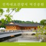 전라북도 대표관광지 덕진공원 전주여행 핫플