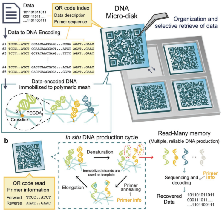 [스크랩] DNA 데이터 저장 DNA Storage : 네이버 블로그