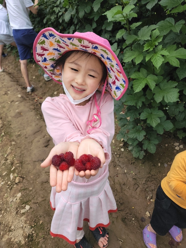 부산 근교 아이와 가볼 만한 곳 #3 김해 소민 농장 농장 체험...
