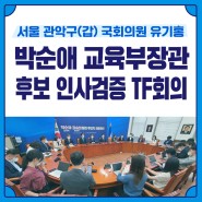 박순애 교육부장관 후보자 인사검증 민주당 TF 회의