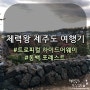 [제주도여행 1일차] 트로피컬하이드어웨이 스탠다드 트윈룸 후기 / 동백포레스트 사진 왕창 후기!!