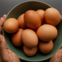 단백질 식품, 평소 자주 봣던 계란 효능