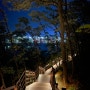 대구 가볼만한 곳 :: 대구 월광수변공원 도원지 둘레길 산책하기 좋은 곳.