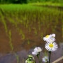 舞岡公園