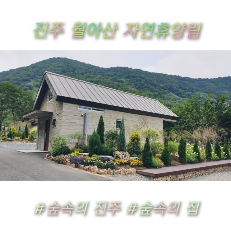 [경남 진주]월아산 숲속의 진주 휴양림&숲속의 집&수국