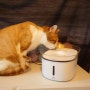 바비온 반려동물 급수기 H2 대용량 무소음 고양이 정수기 매우 만족 :)