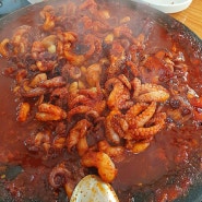 제기동 쭈꾸미 맛집 호남식당 나정순할매쭈꾸미 내돈내산후기