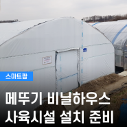스마트팜 메뚜기 비닐하우스 사육 시설 설치 준비