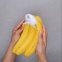 바나나 보관 방법 재미난 꿀팁 열세 번째