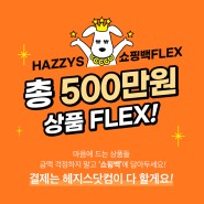 [EVENT] 결제는 헤지스닷컴이 다 할게요!! 500만원 쇼핑백 FLEX!!
