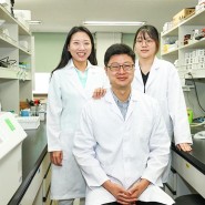영남대 연구팀, 암 전이·재발 예방 가능한 면역 암 치료법 개발
