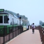 부산 해운대 블루라인파크 해운대해변열차