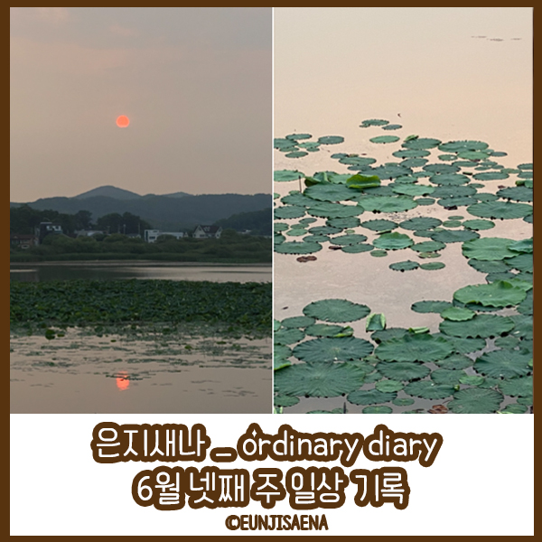 은지새나 _ ordinary diary 6월 넷째 주 일상 기록 : 네이버 블로그