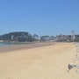 태안 여행코스 여름휴가 해수욕장