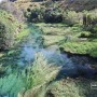 뉴질랜드 북섬, 블루스프링(blue springs)