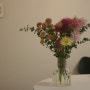 6월의 생화 꽃테리어 | 과꽃 꽃말 | 퐁퐁이 꽃말