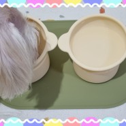 강아지 식기 물그릇 세트 높이 조절되는 안전한 실리콘 밥그릇