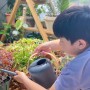 아들과 함께하는 식물생활