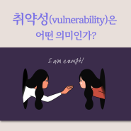 '취약성(Vulnerability)'은 어떤 의미인가?