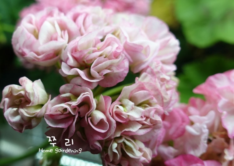 설희 : 네이버 블로그