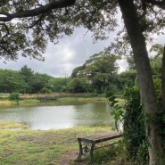 [ 호라이즌제주 ] Landscape - Bench under the shade of Tree around Pond “Timeless Jeju”