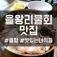 맛있는녀석들 물회 / 을왕리 맛집 을항 엄마랑 다녀오기!