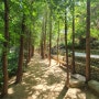 충주 가볼만한 곳 우림정원
