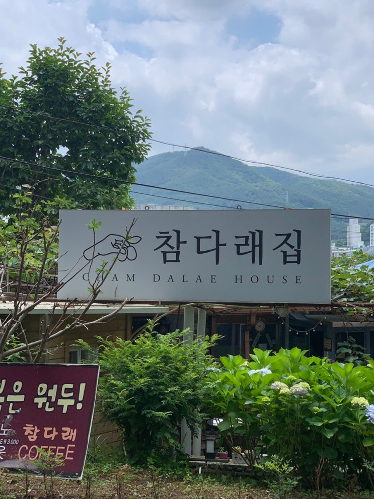 기장 군청 숨은 가정식 맛집 기장 참다래집 : 네이버 블로그